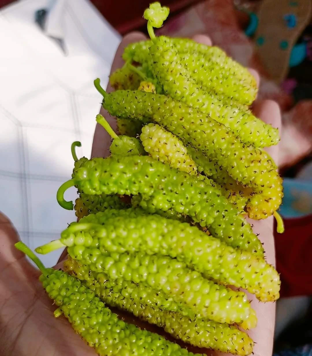 image about الغذاء الصحي أهم أسباب البقاء على قيد الحياة 