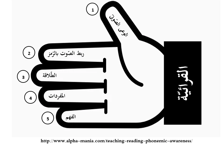 image about المكوّن الأوّل الأساسيّ للقراءة في التّعليم المبكّر (تعليمية القراءة)