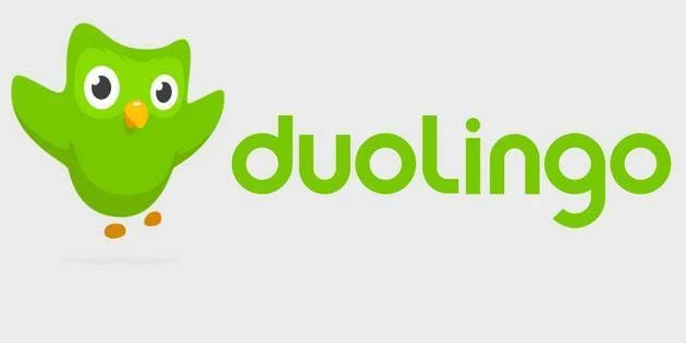 image about كيفية استخدام تطبيق دولينجو Duolingo بدون انترنت؟