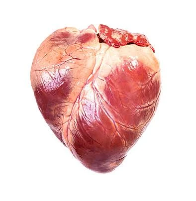 image about وفي الأرض آيات للموقنين وفي أنفسكم     أفلا تبصرون ؟!