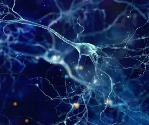 image about وفي الأرض آيات للموقنين وفي أنفسكم     أفلا تبصرون ؟!