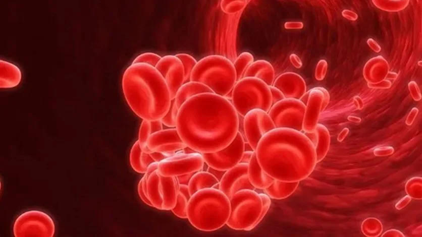 image about ماهو فقر الدم؟وماهي اسبابه وأعراضه ؟وهل لديه علاج؟