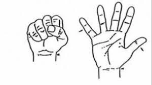 image about أنشطة لدعم أصابع يد الأطفال