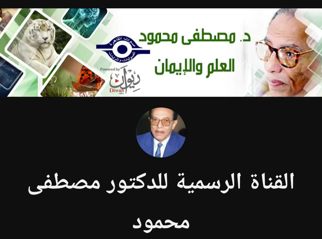 image about أفضل القنوات الدينيه على اليوتيوب 