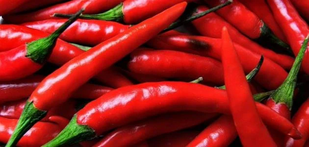 image about 10 اطعمة لتقوية الجهاز المناعي و الوقاعية من الامراض.