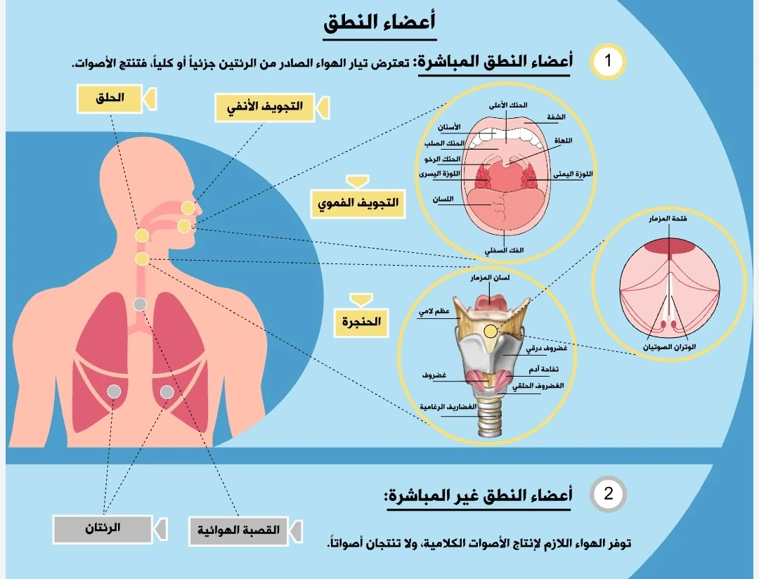 image about أنواع الأصوات اللغويه وتصنيفاتها لذوي إضطرابات التواصل لإنتاج اللغه والكلام (الجزء الأول)......