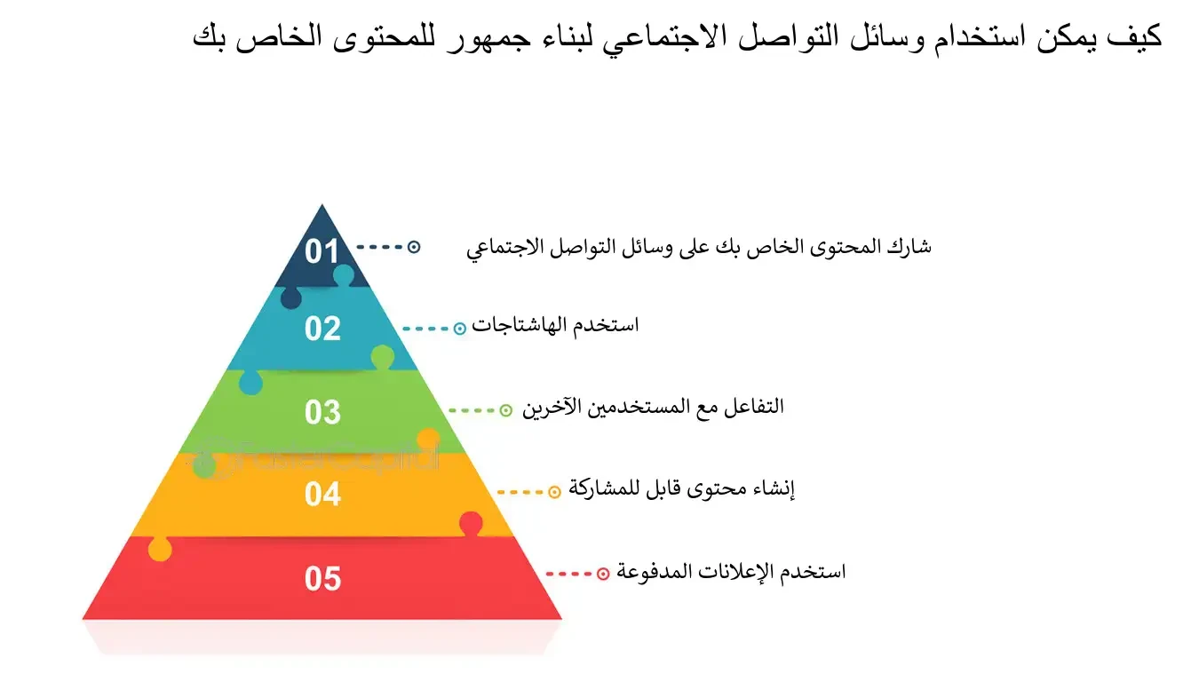 image about كيف تروض وسائل التواصل الاجتماعي لتصبح مصدر قوة لا استنزافًا
