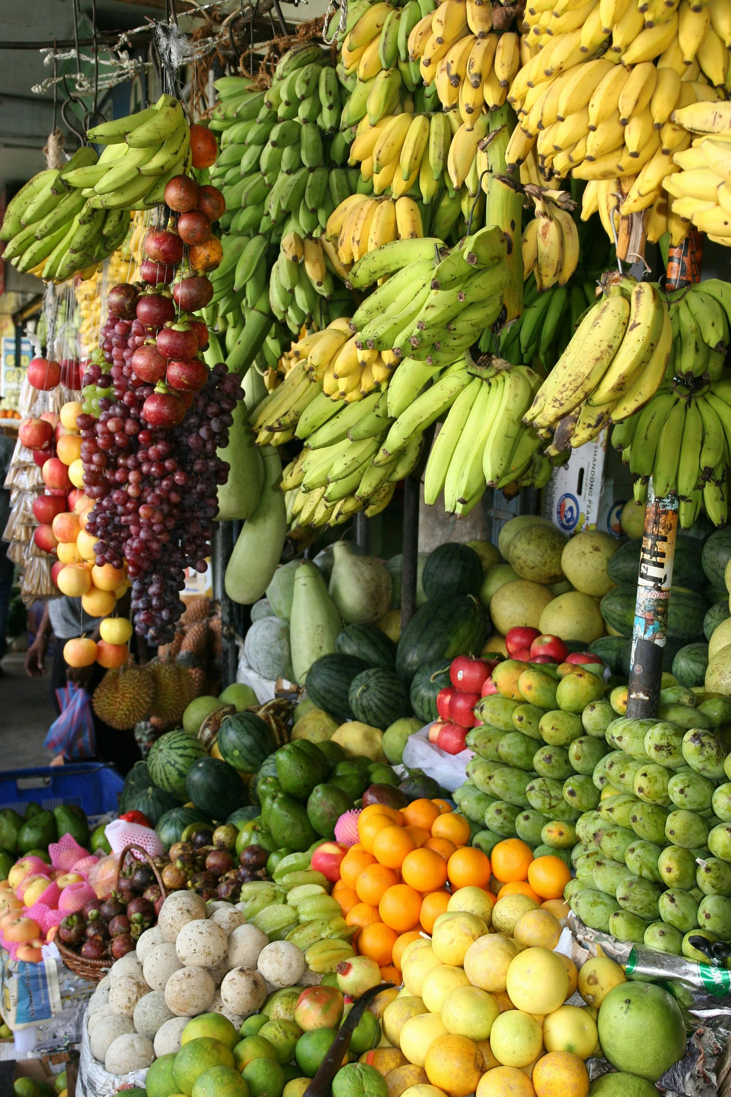 image about سر الجسم الصحي: كيف تمنحك الفاكهة حياة مليئة بالطاقة والجمال