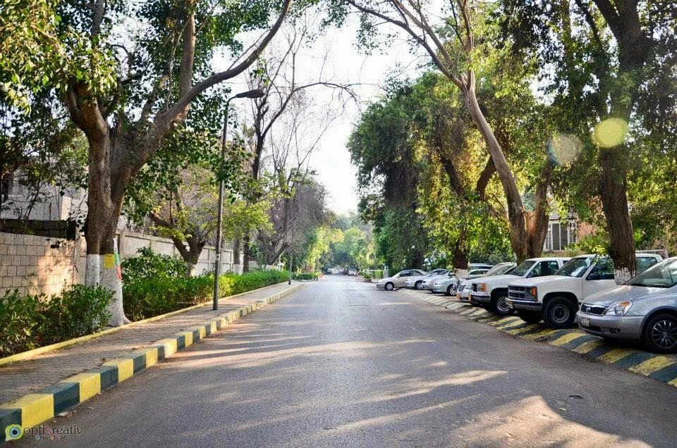image about حدائق المعادي... ٣ فول و٢ طعمية