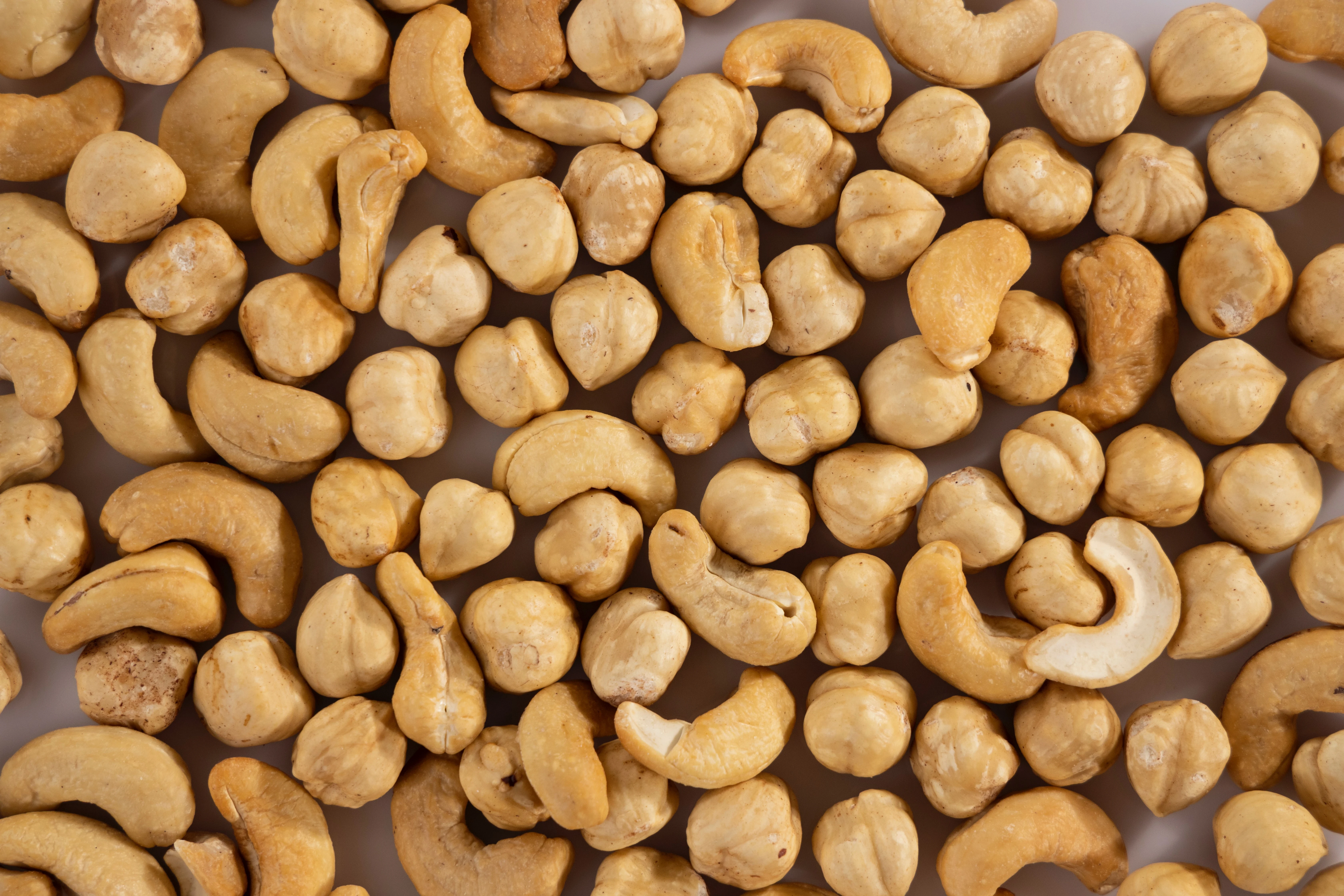 image about الغذاء والتغذية: أساس الصحة وجودة الحياة