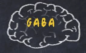 image about غابا ، الناقل العصبي للهدوء والاسترخاء
