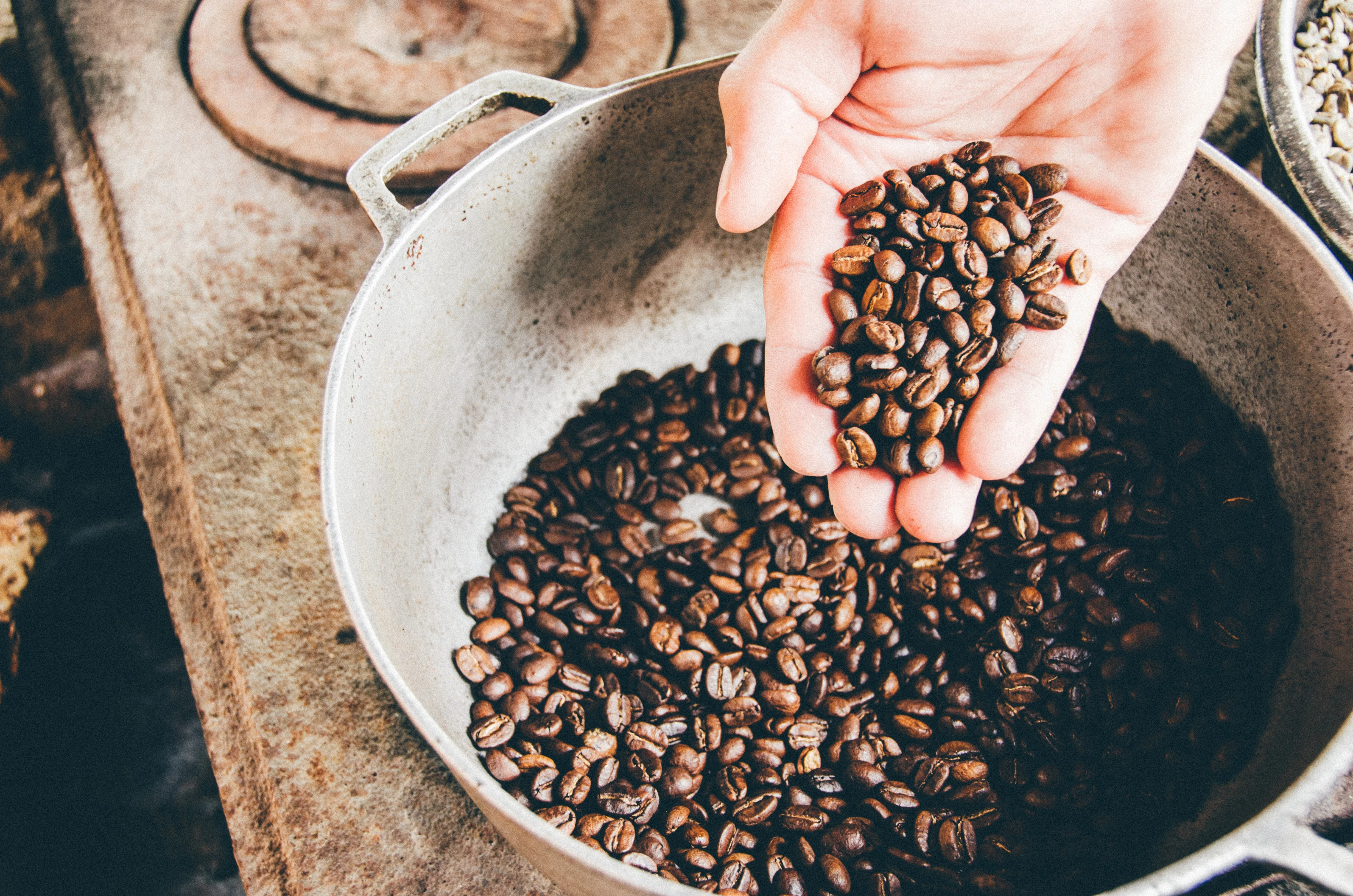 image about أشجار البن: أصنافها ، تكاثرها ، زراعتها  Coffee trees: varieties, reproduction, cultivation