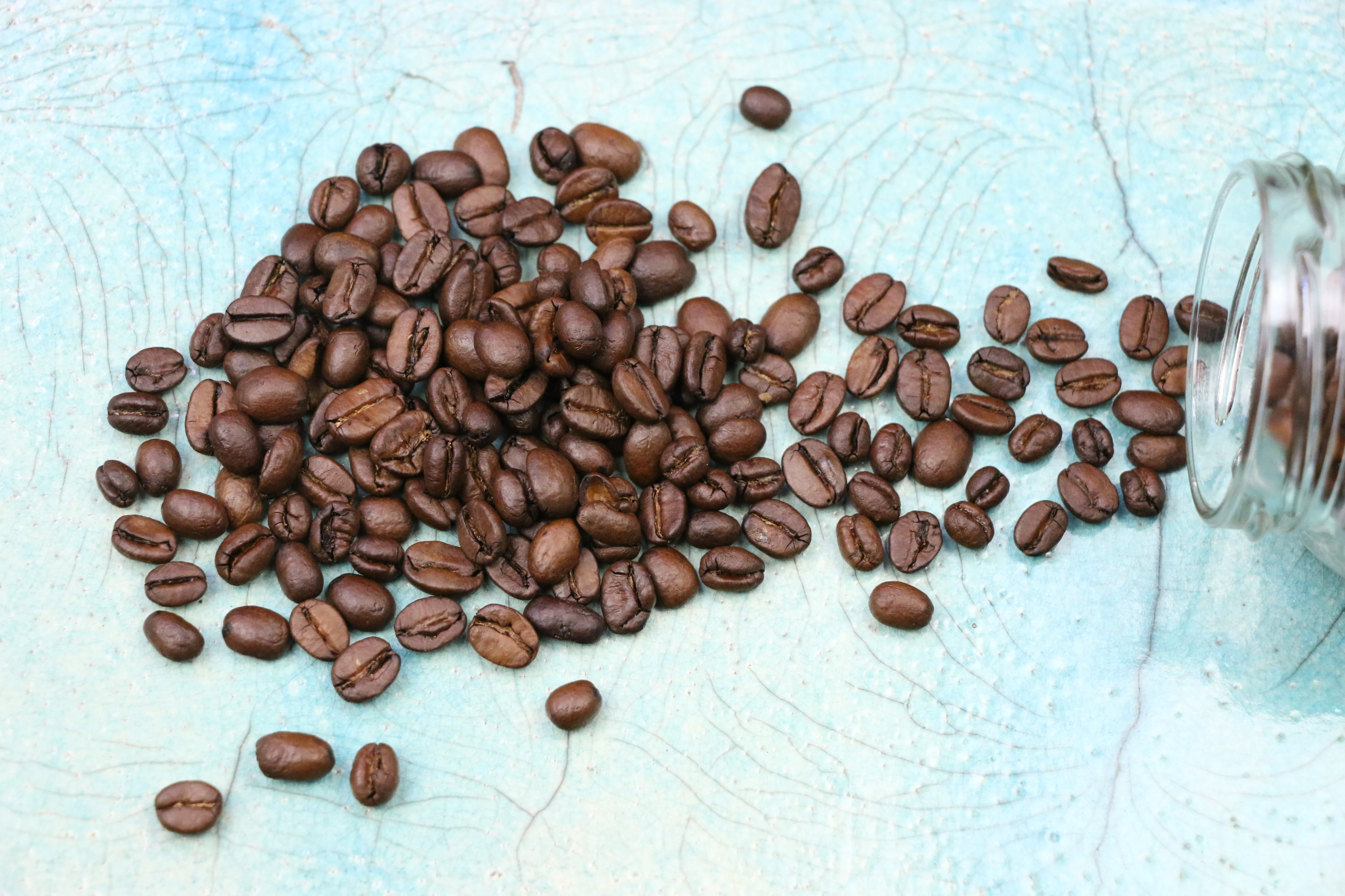 image about أشجار البن: أصنافها ، تكاثرها ، زراعتها  Coffee trees: varieties, reproduction, cultivation