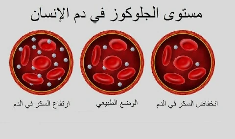 image about خطر هبوط السكر في الدم