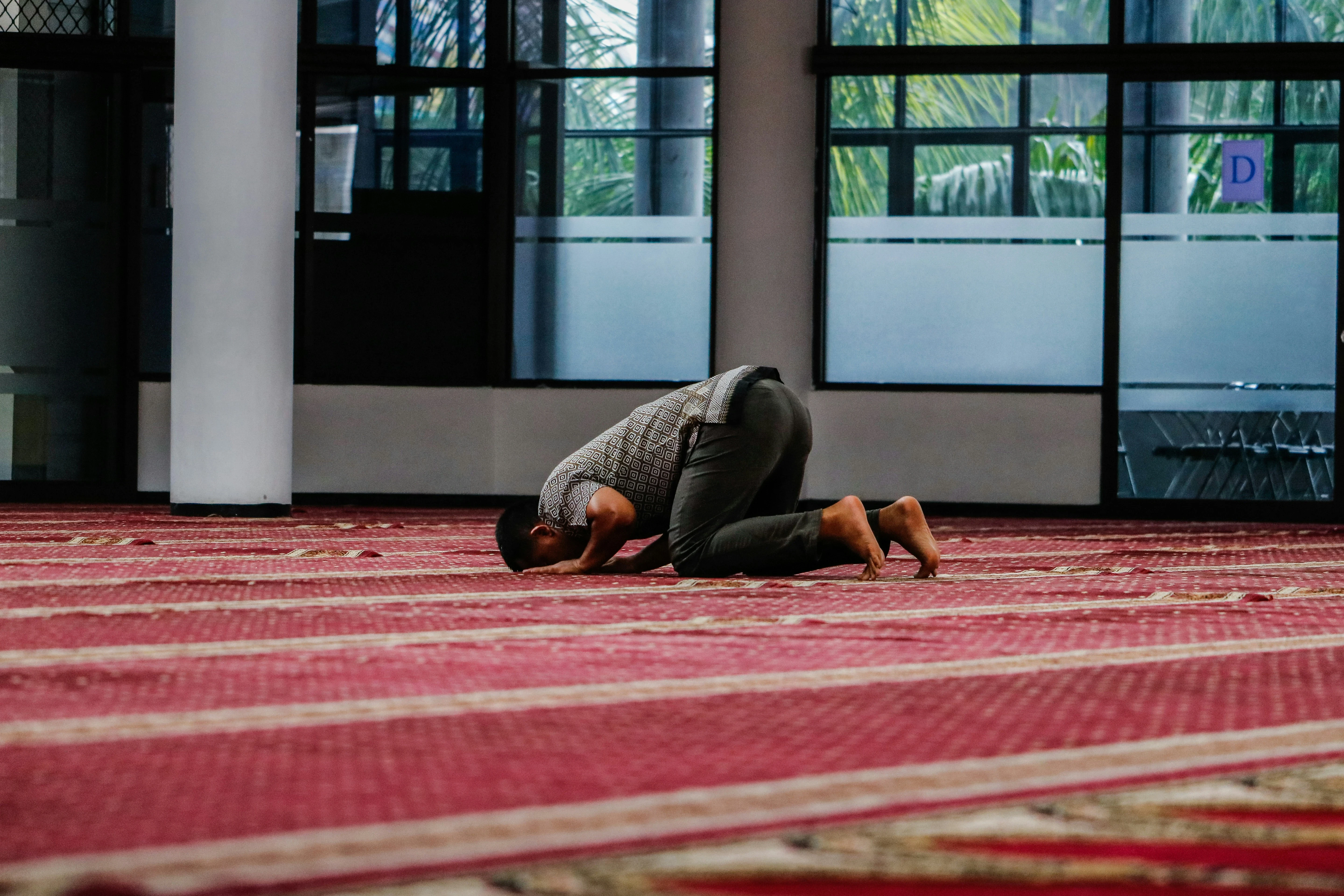 image about الصلاة… سر السكينة في عالم مضطرب 🕌💫