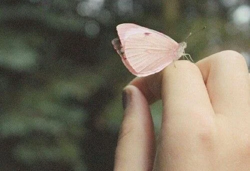 image about قل ما يزعجك عندما يزعجك ، وليس عندما يتأخر الوقت