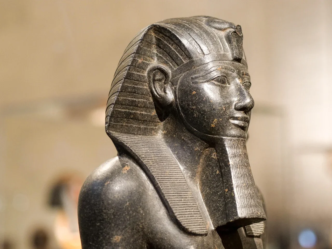 image about افتتاح المتحف المصري الكبير
