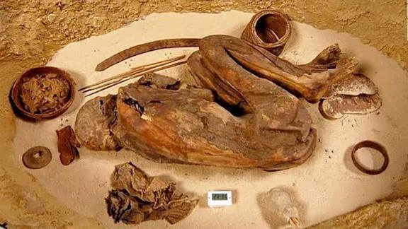image about سر التحنيط عند المصريين القدماء 