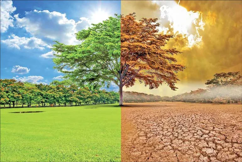 image about التغيرات المناخية وتأثيرها على الانسان واسبابها 