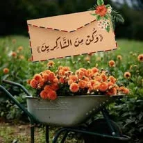 image about تحميل وتنزيل كتاب الأضواء في الجغرافيا للصف الثاني الثانوي الترم الثاني 2026