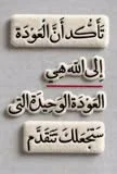 image about تحميل كتاب الأضواء في العلوم للصف السادس الابتدائي الترم الثاني 2026 PDF