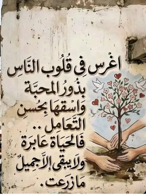 image about  تحميل كتاب الامتحان في الدراسات الاجتماعية   للصف الأول الإعدادي ترم ثاني 2026 رابط مباشر