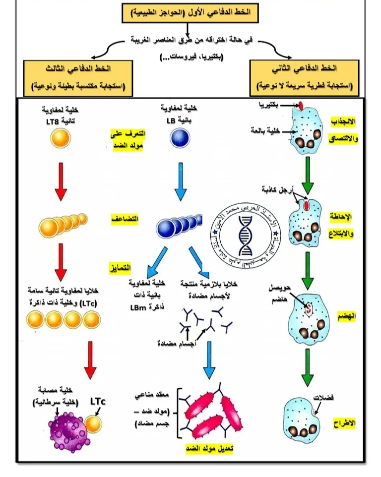 image about الذات واللاذات لمادة  العلوم الطبيعية والحياة 