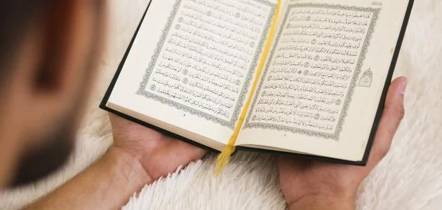 image about تطبيق مهم يساعد على حفظ القران الكريم و تثبيته
