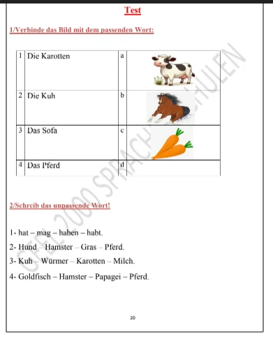image about تحميل مذكرة اللغة الألمانية للصف الرابع الابتدائي الترم الثاني 2026 PDF شرح مبسط وتدريبات كاملة