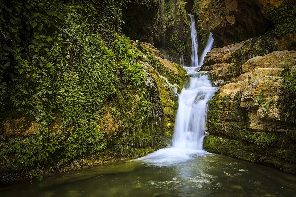 image about الطبيعة.. سيمفونية البقاء وملاذ الروح