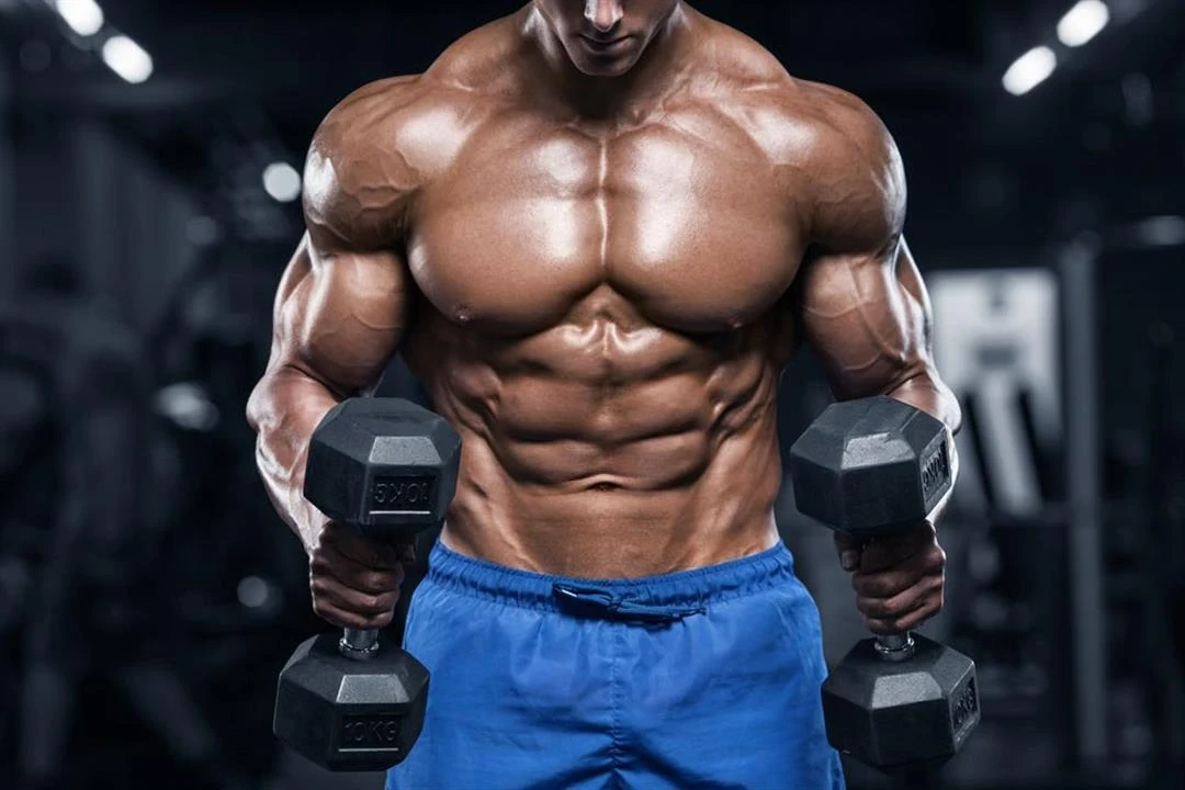 image about  جدول تمارين كمال الأجسام في 4 أيام فقط