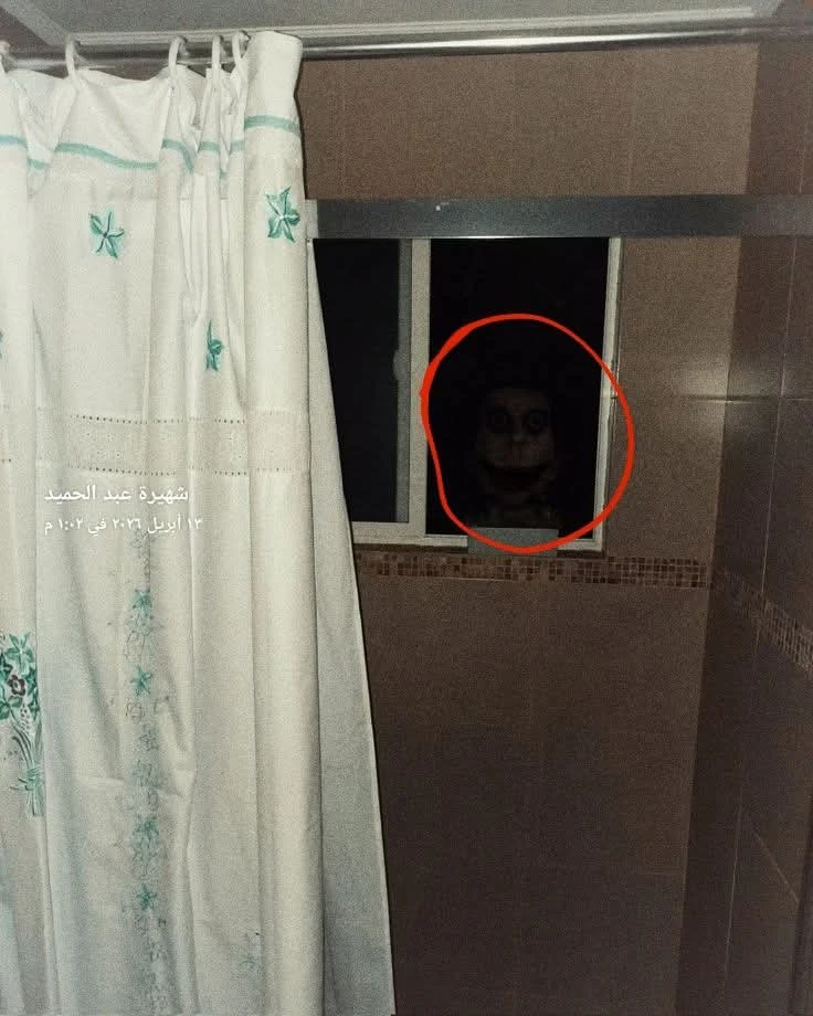 image about حكاية فردوس و لغز الحمام