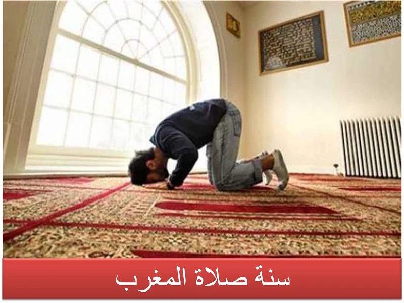image about لماذا نصلي صلاة المغرب 3 ركعات دون غيرها من الصلوات الخمس؟