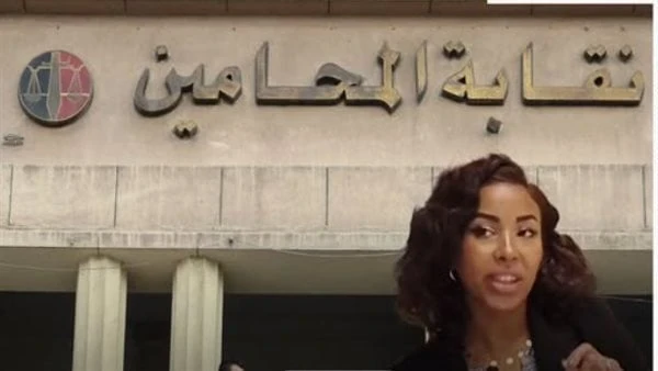 image about نسمة الخطيب في قفص الاتهام — محامية تشعل مصر بدعوة تقنين 