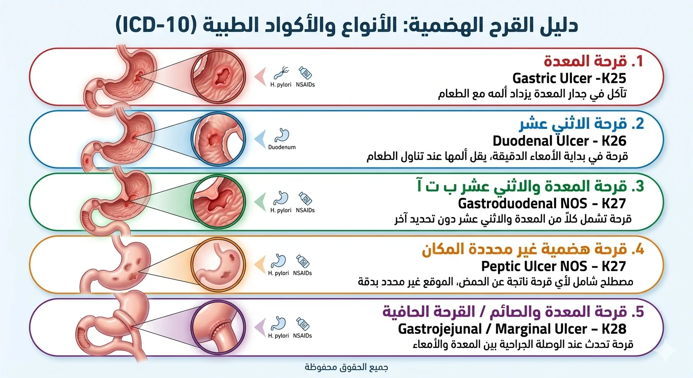 image about شرح القرح الهضمية الخمس