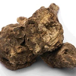 image about شرش الزلوع.. كنز عشبي في الطب الشعبي وفوائده الصحية المتعددة