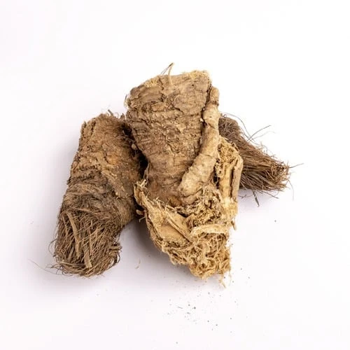 image about شرش الزلوع.. كنز عشبي في الطب الشعبي وفوائده الصحية المتعددة