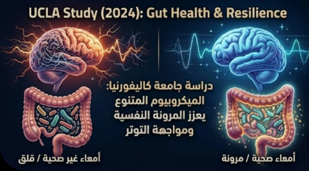 image about هل يعيش حزنك في أمعائك؟   الدماغ الثاني الذي يتحكم في مزاجك دون أن تدري!
