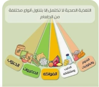 image about رجيم البروتين النباتي:جدول 7 أيام لخسارة الوزن وبناء العضلات.