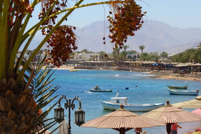image about خورفكان في ذاكرة الزمان خورفكان مزيج من الجمال والإبداع