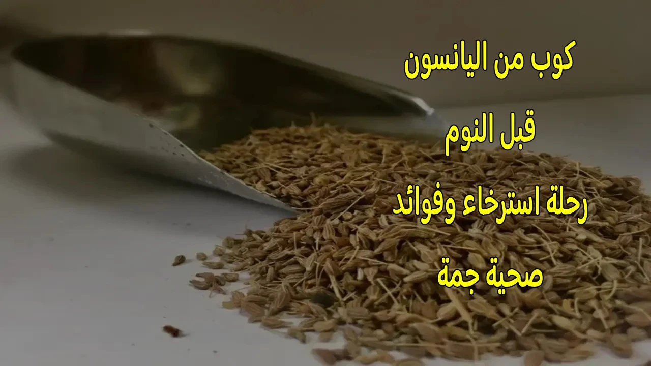 image about كوب من اليانسون قبل النوم: رحلة استرخاء وفوائد صحية جمة