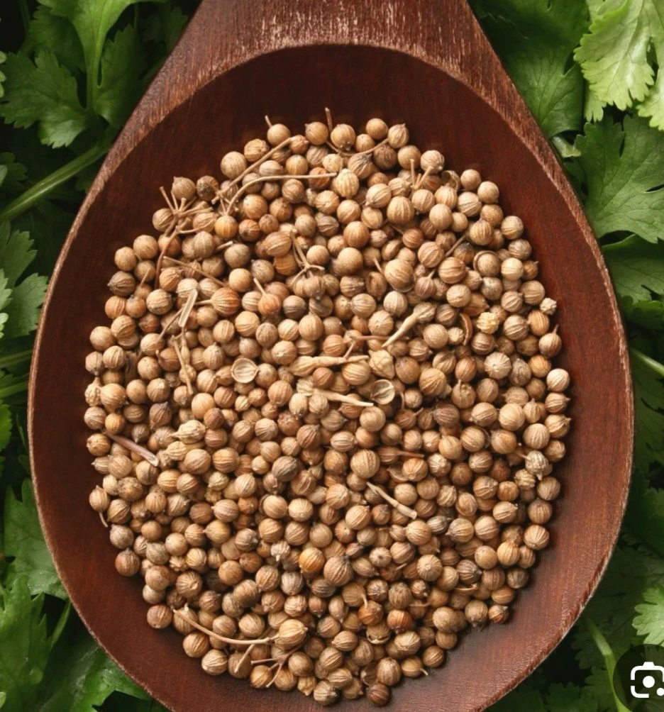 image about تعرف علي فوائد الكزبرة للصحة الجنسية