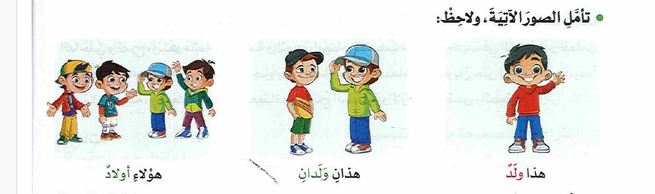 image about المفرد - المثنى - الجمع