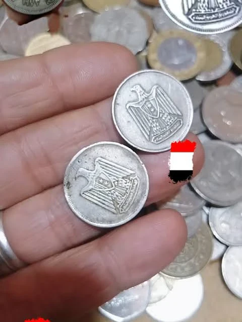 image about عملات معدنية مصرية قديمة قد تساوي مبالغ كبيرة.. كيف تعرف إذا كانت لديك واحدة نادرة؟