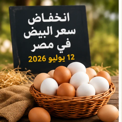 image about انخفاض سعر البيض في مصر