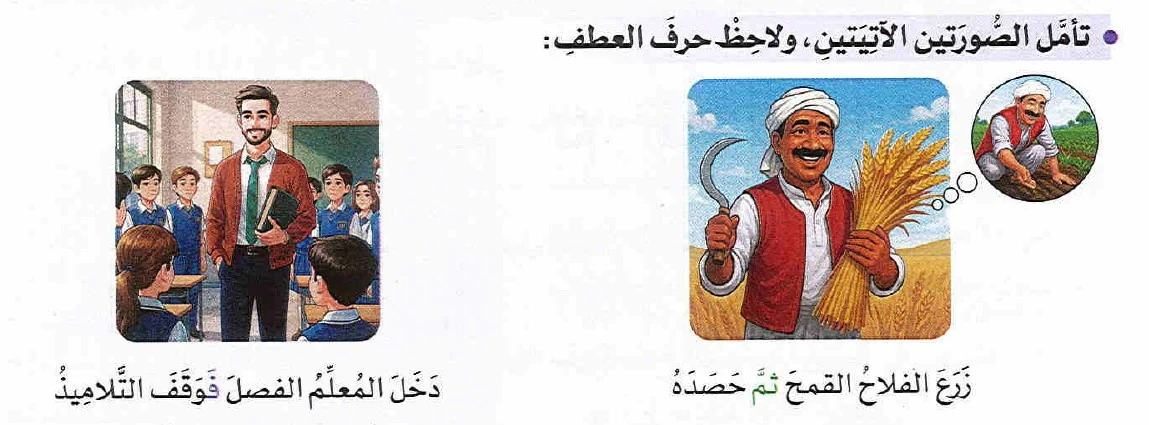 image about من حروف العطف ( ثم - ف )
