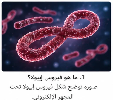 image about فيروس إيبولا: الأعراض والأسباب وطرق الوقاية والعلاج | أخطر الأمراض الفيروسية في العالم