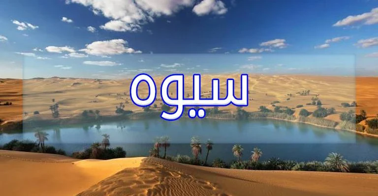 image about أفضل 10 أماكن للتصيف في مصر 2026.. دليلك الكامل للأسعار وأهم الأنشطة