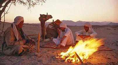 image about الحياة البدوية من عيون مستوطن بالحضر
