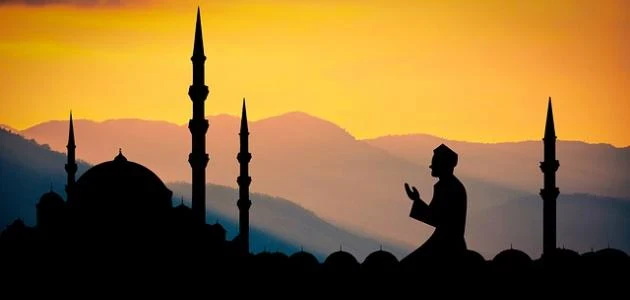 image about كيف تجد السلام النفسي والروحي في عالمٍ لا يتوقف عن الضجيج؟